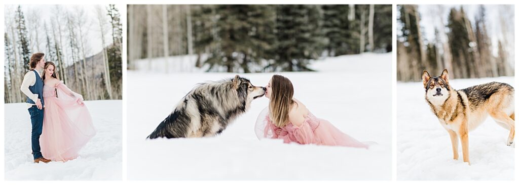 Winter Photoshoot with dogs in Colorado Mountains