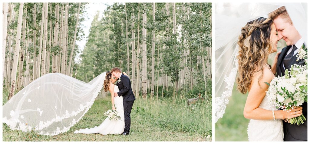 Black Diamond Lodge Wedding veil