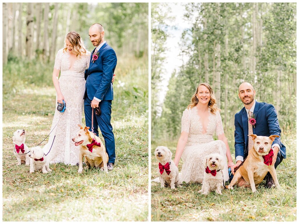 Late summer wedding dogs