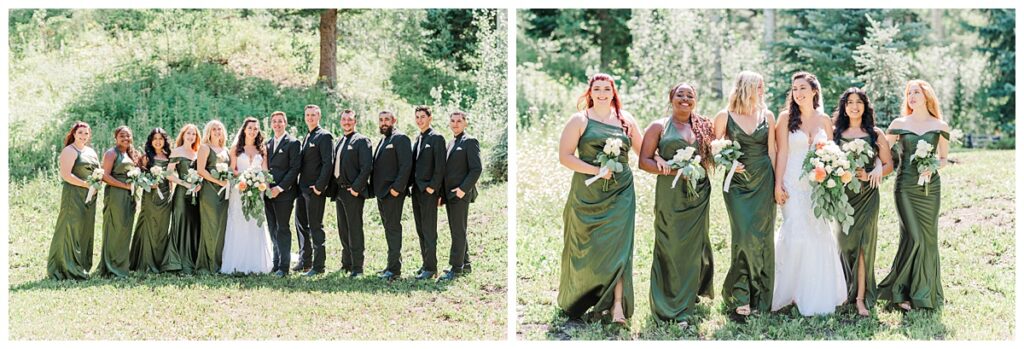 August Black Diamond Lodge Wedding Bridal Party