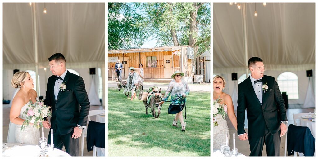 June LePlatt's Pond Wedding